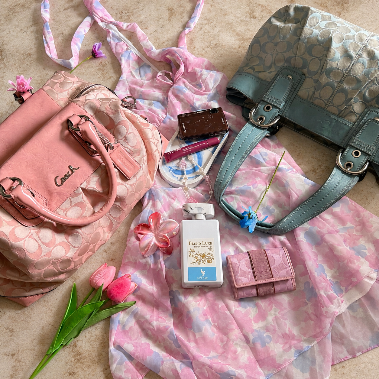 Sugar & Spice ✿