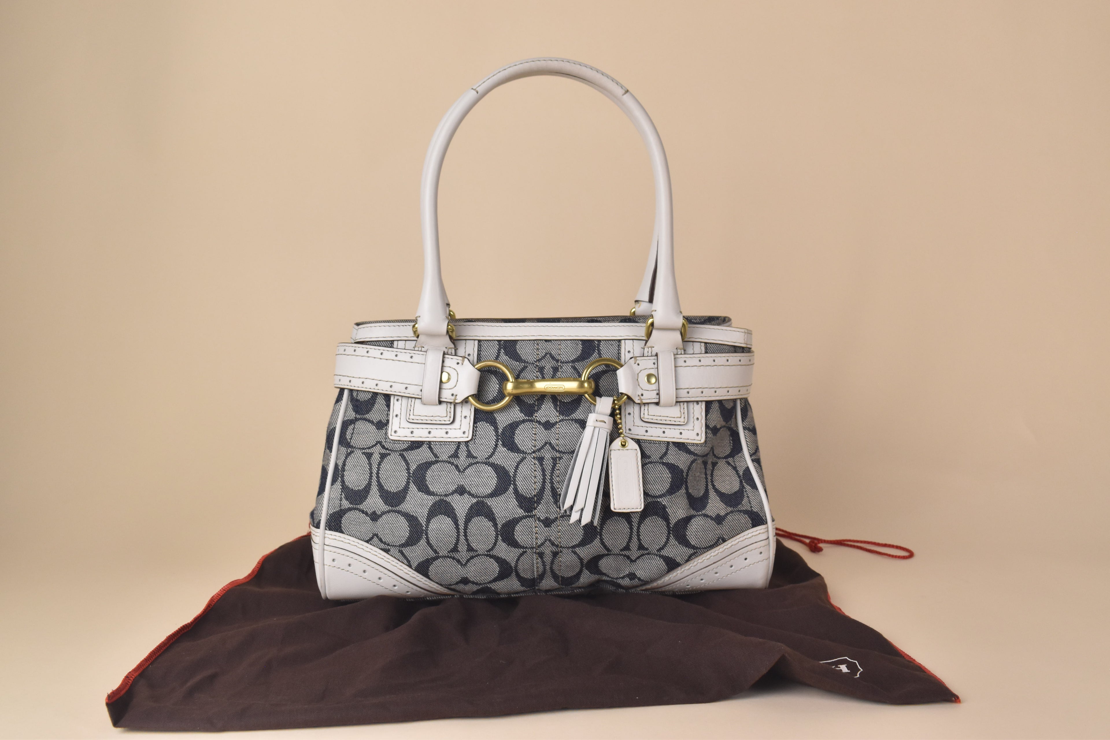 Coach Signature Hampton Carryall – Blue/White