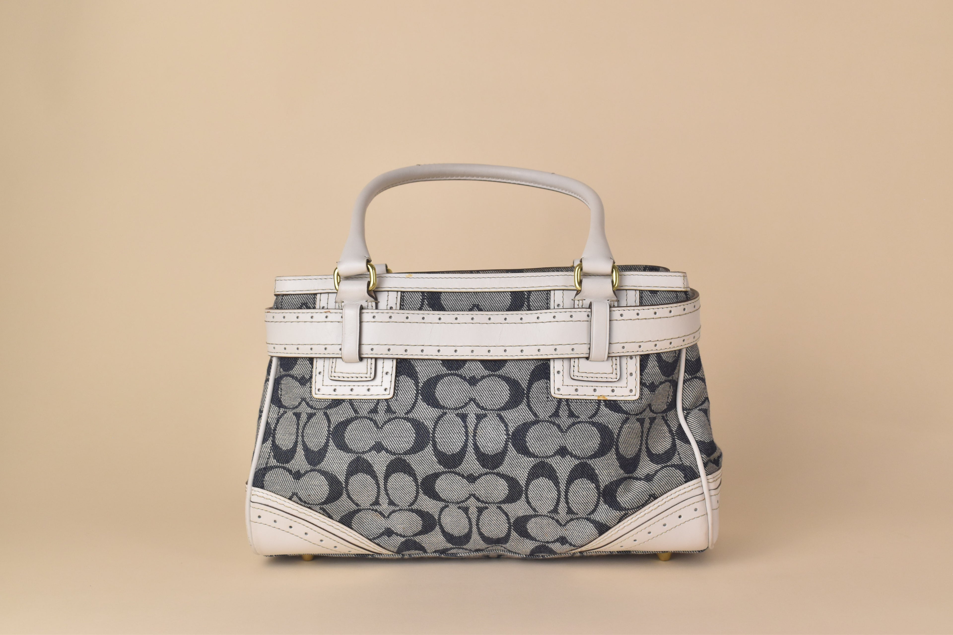Coach Signature Hampton Carryall – Blue/White