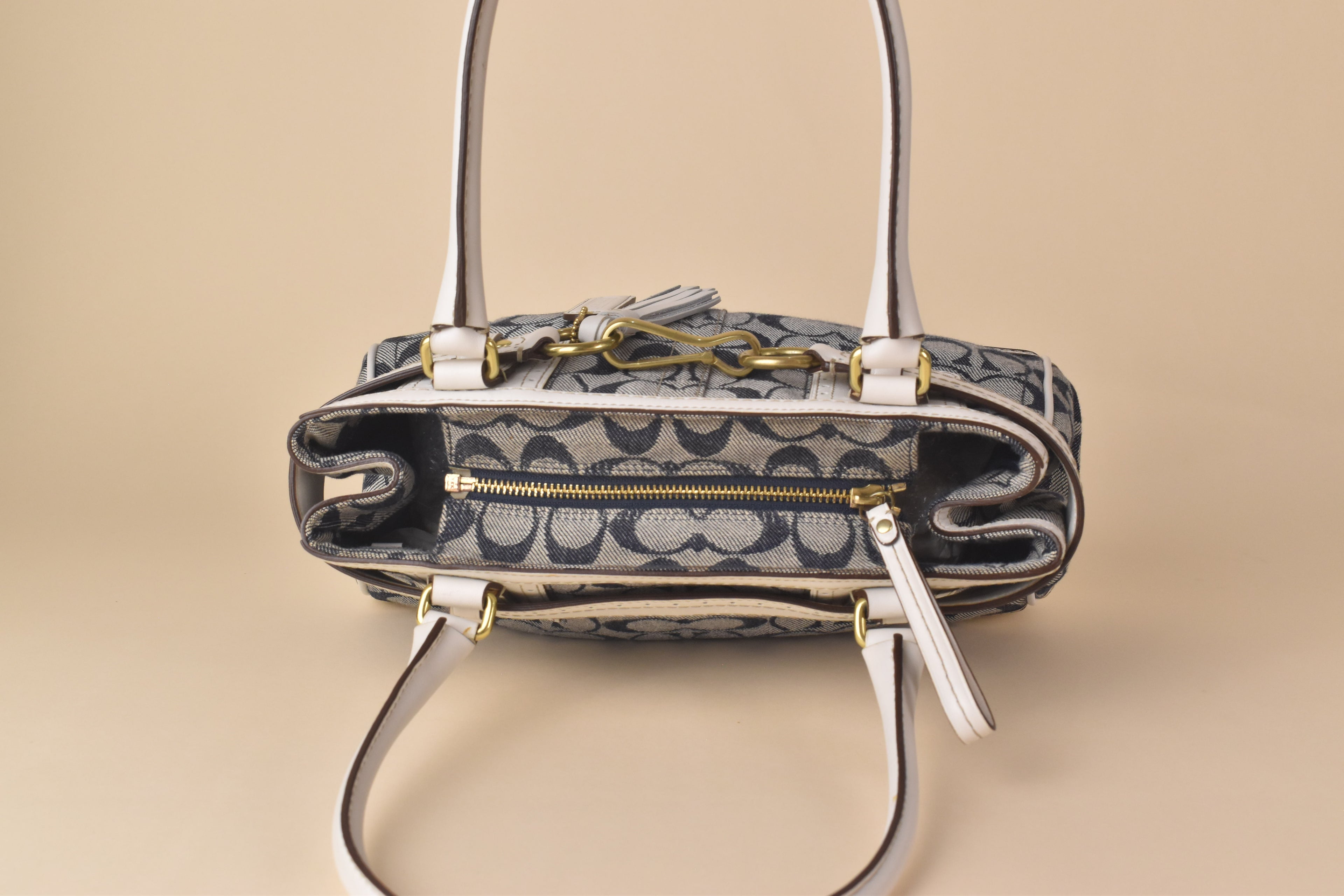Coach Signature Hampton Carryall – Blue/White