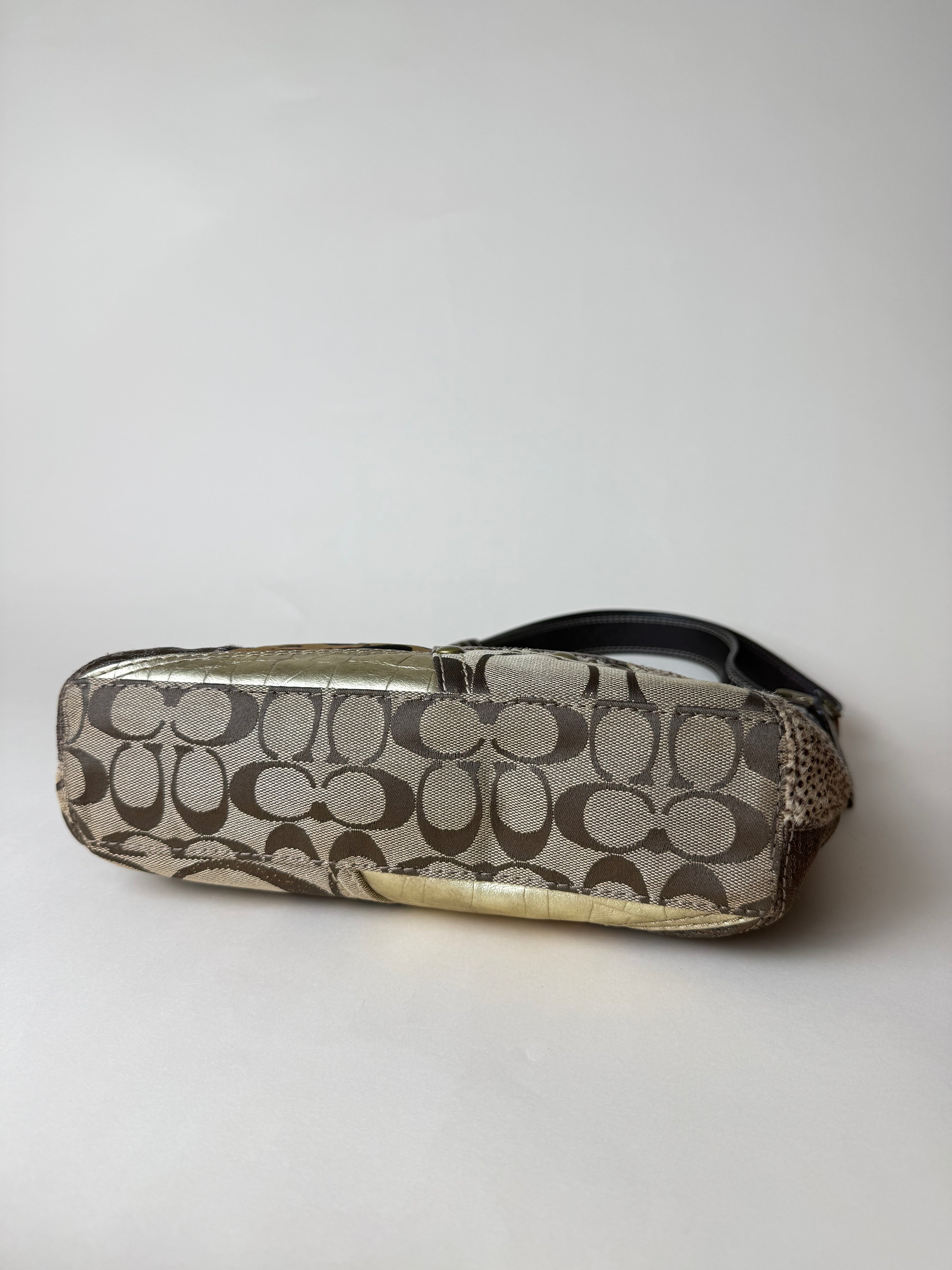 Coach Leopard Patchwork Convertible 2WAY shoulder Bag