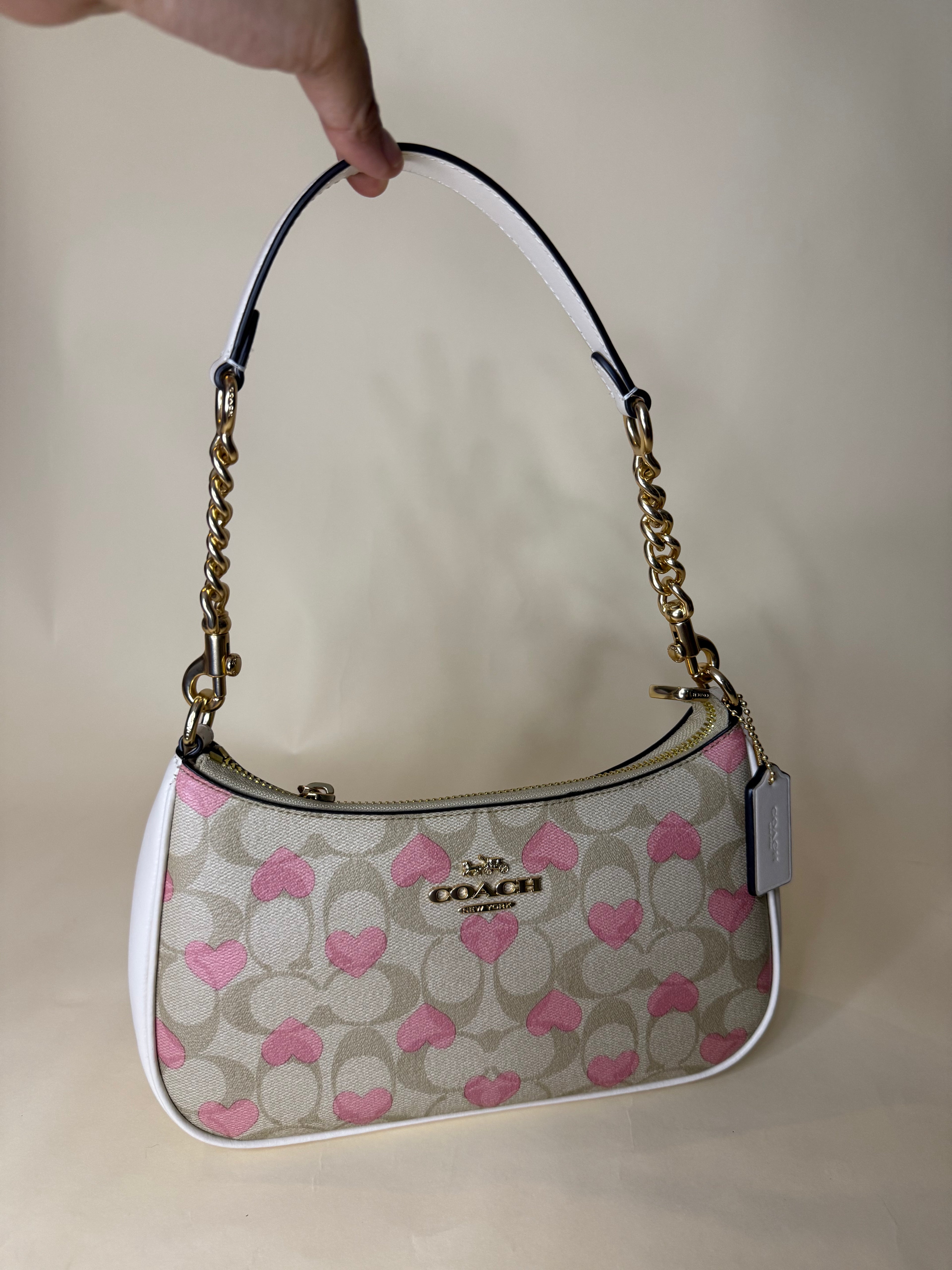 Coach Teri Hobo Valentine's Collection 2024 with Hearts