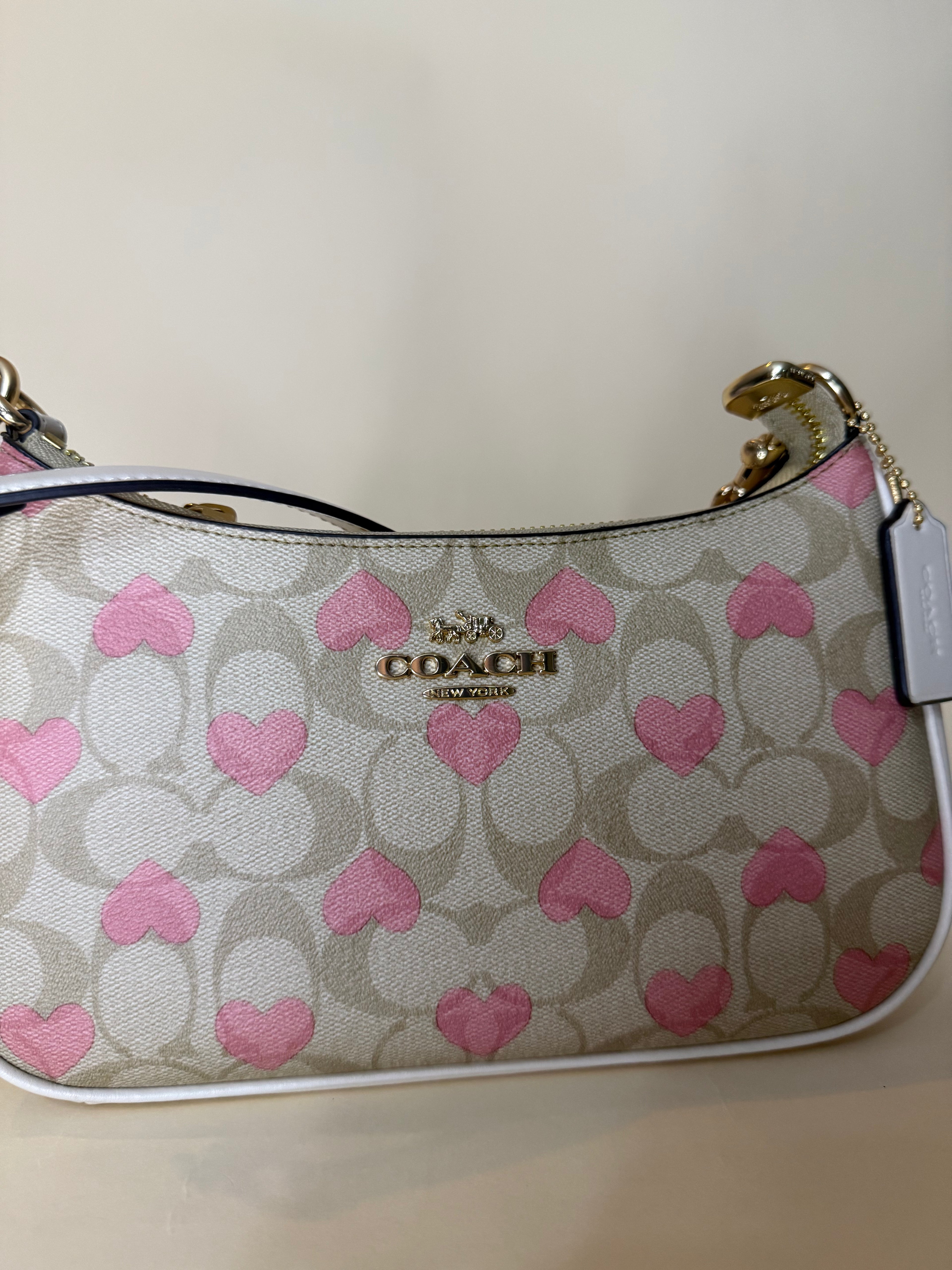 Coach Teri Hobo Valentine's Collection 2024 with Hearts