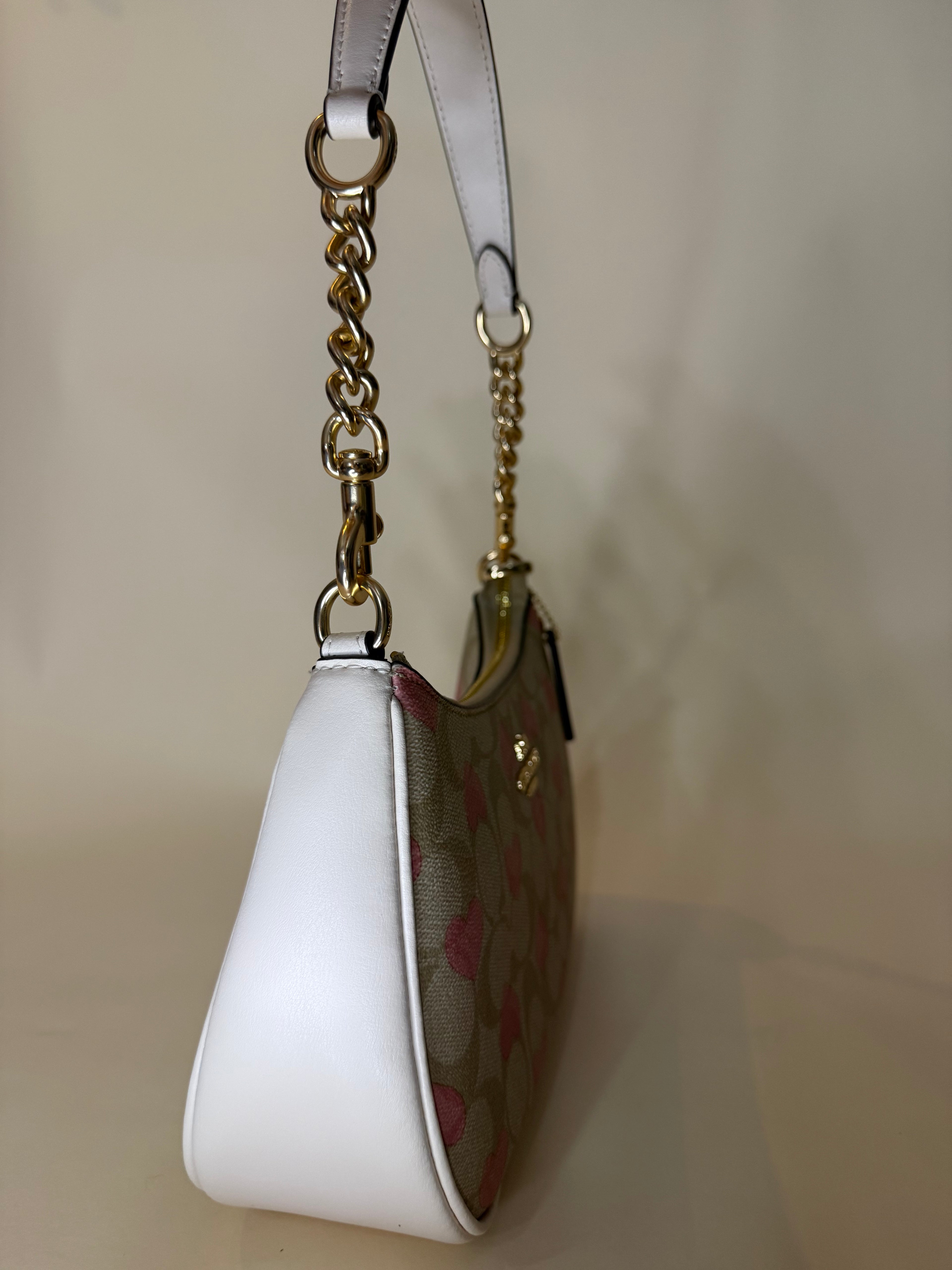 Coach Teri Hobo Valentine's Collection 2024 with Hearts