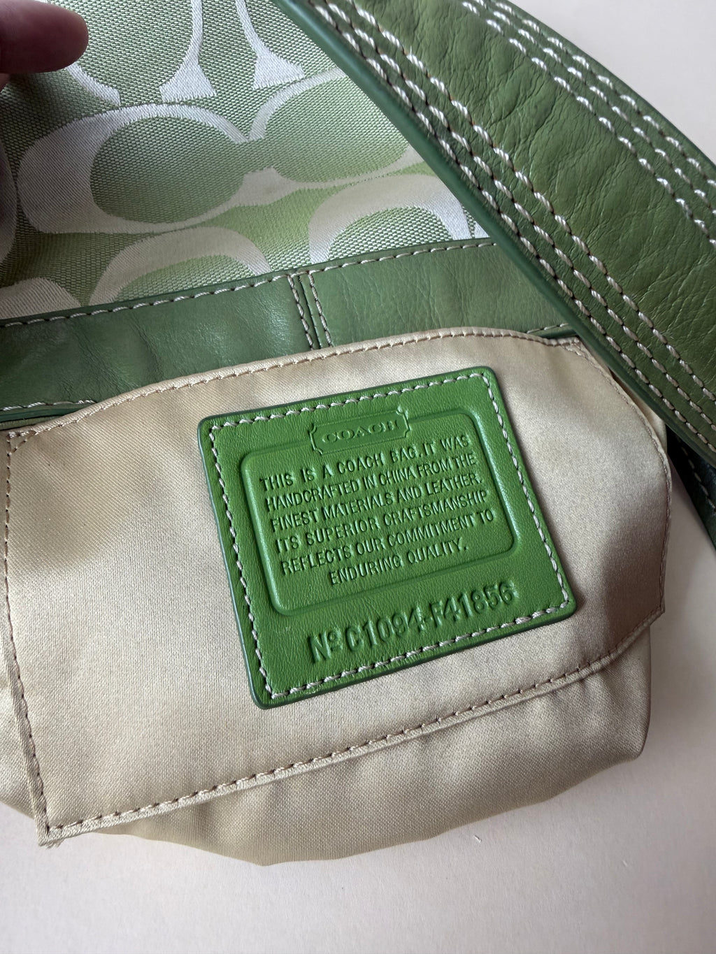 Coach Zoe Mini Signature Shoulder bag - Green