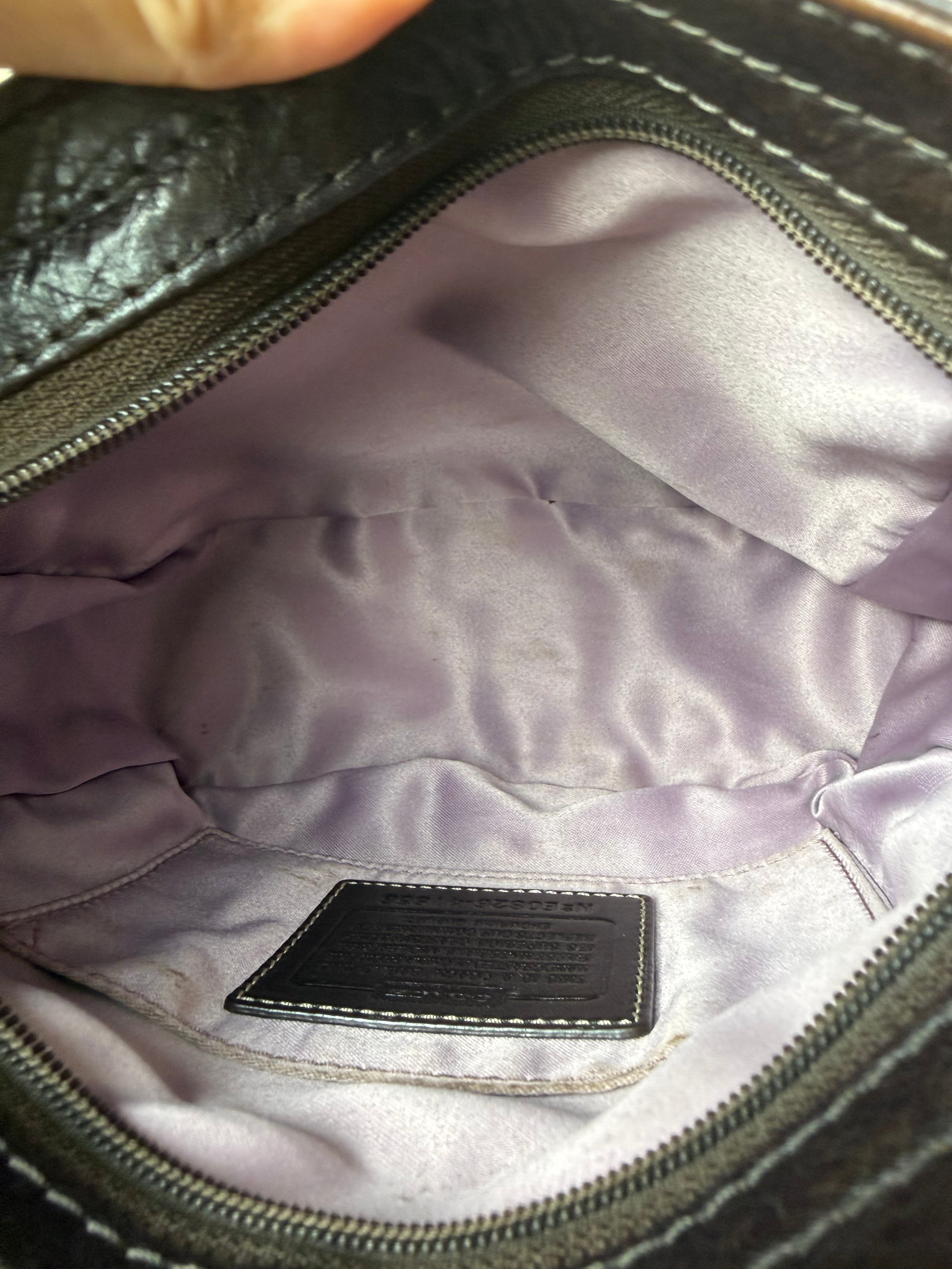 Coach Zoe Mini Signature Shoulder Bag - Brown