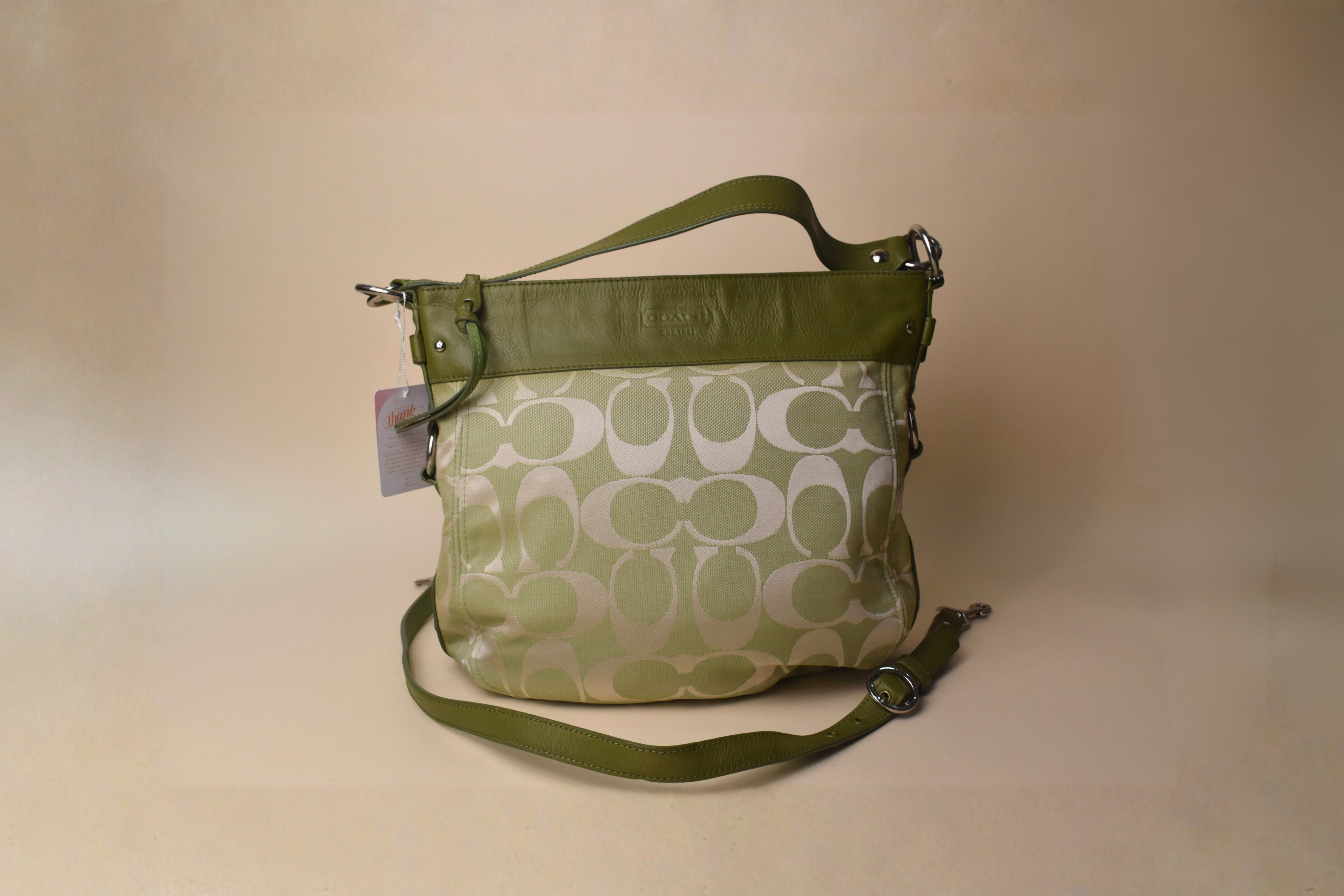 Coach Large Zoe Signature Hobo Bag – Pistachio Green